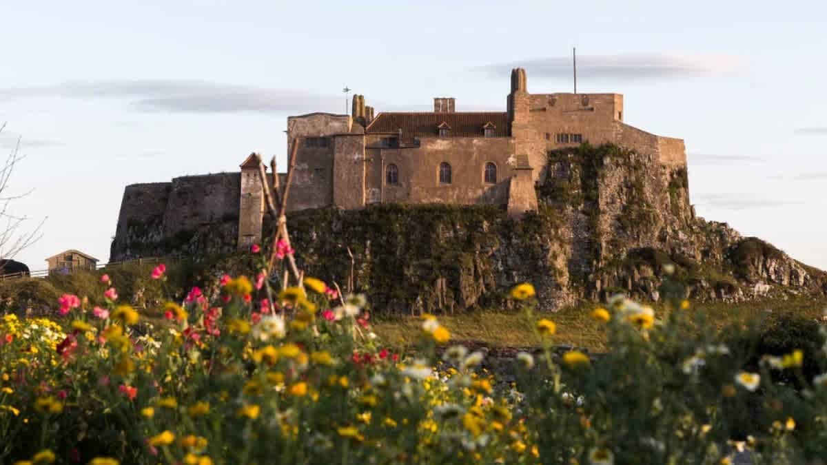 Lindisfarne Castle - National Trust - Photo