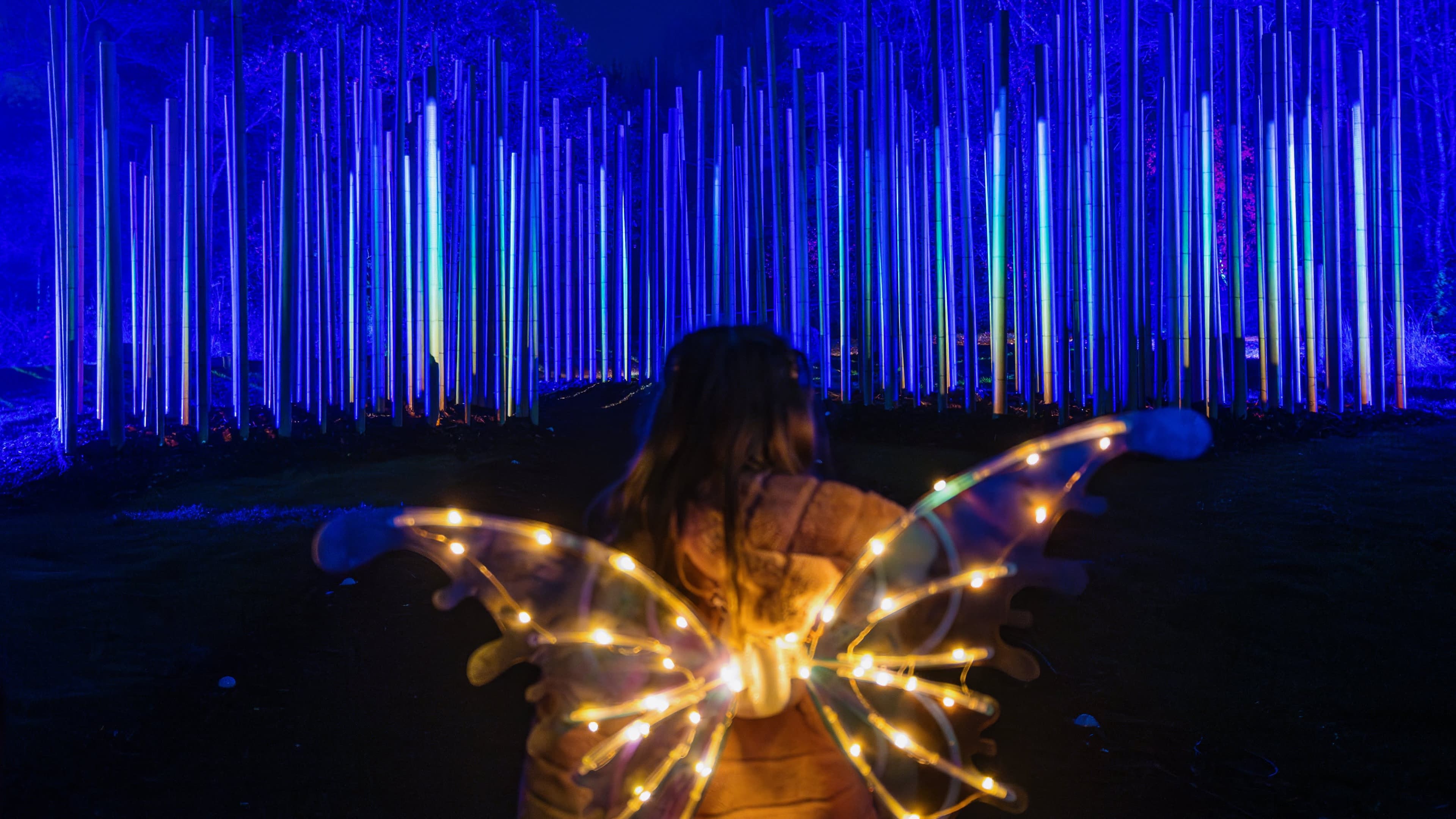 Light Cycles - Photo 1