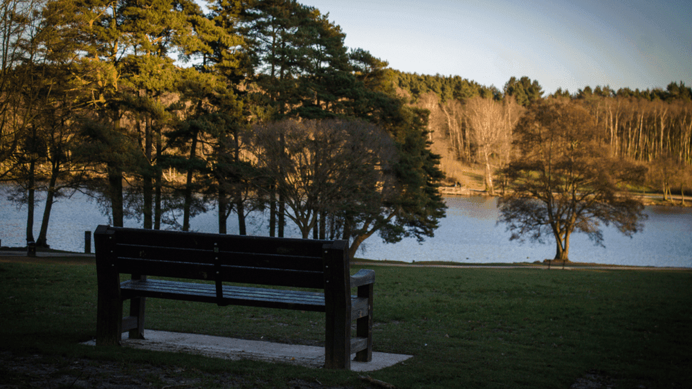 Tilgate Park Crawley - Photo