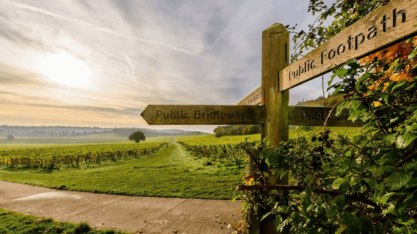 Denbies Wine Estate - Photo
