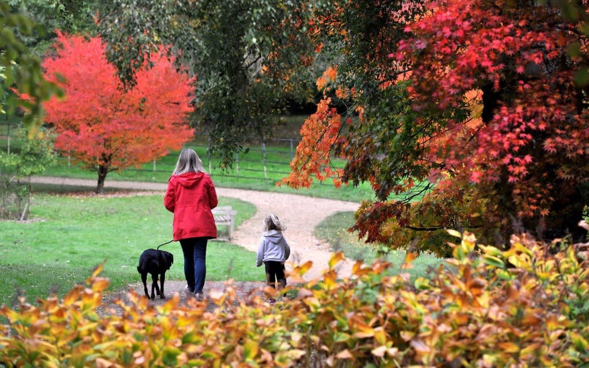 Batsford Arboretum - Photo