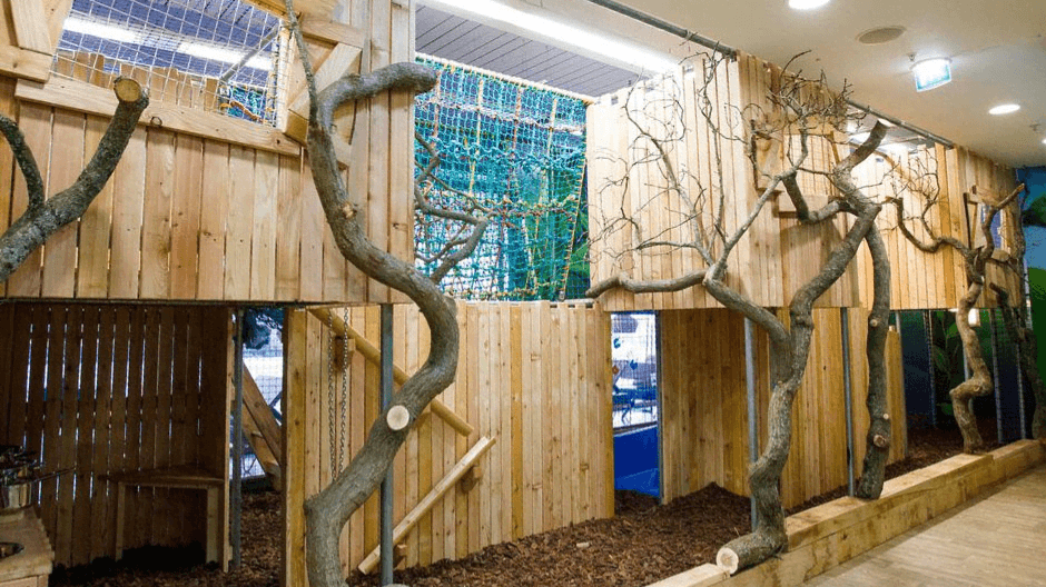 Wild Things Play Project - Photo