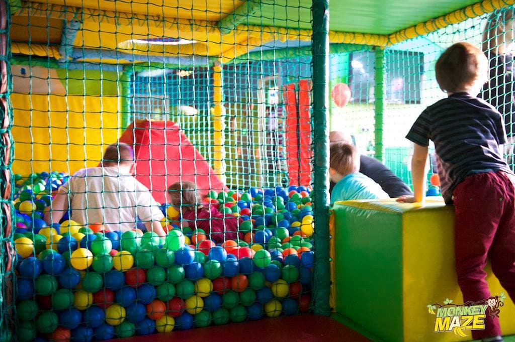 Monkey Maze - Photo