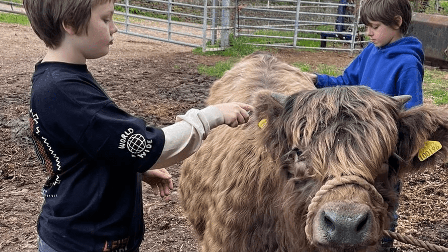 Huruco Rare Breeds - Photo