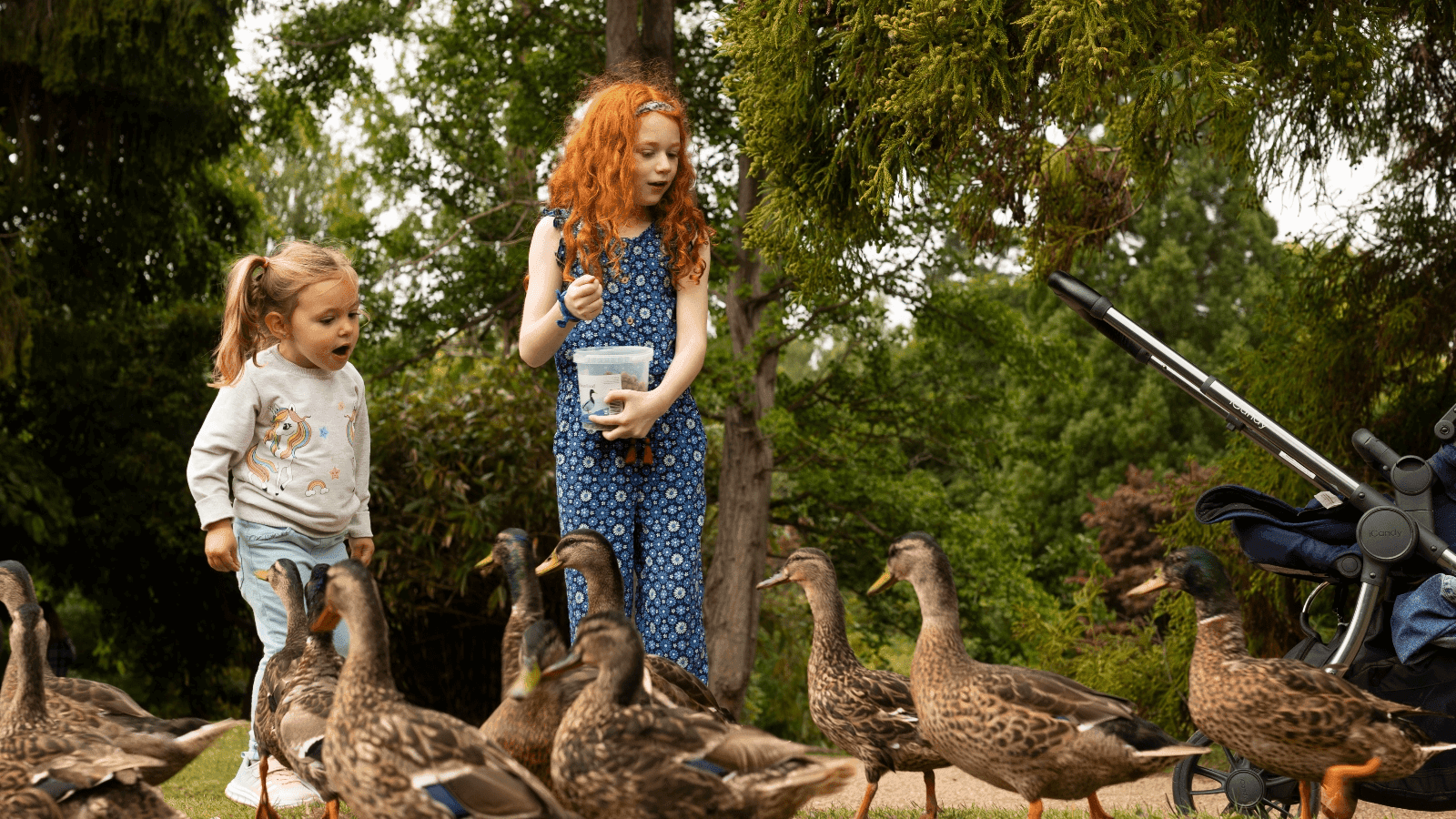 Sheffield Park and Garden - Photo