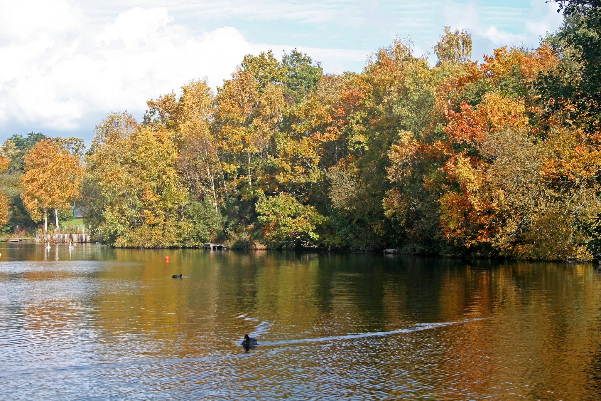 Decoy Country Park