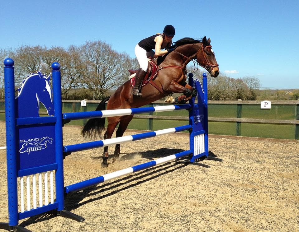 Island Equus - Photo 1