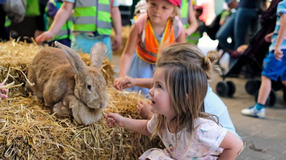 Rare Breeds Centre