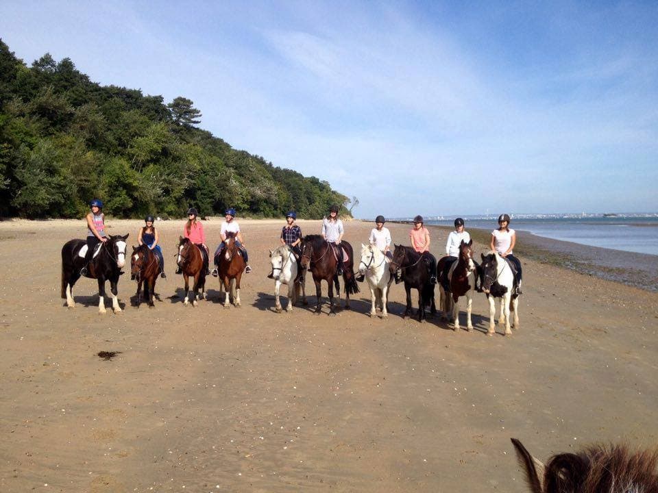 Sallys Riding School