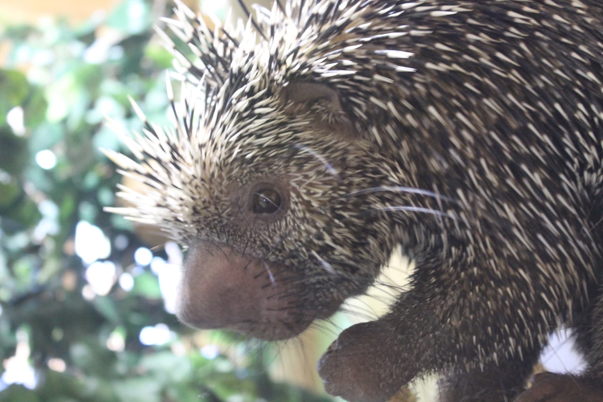 Hemsley Conservation Centre - Photo
