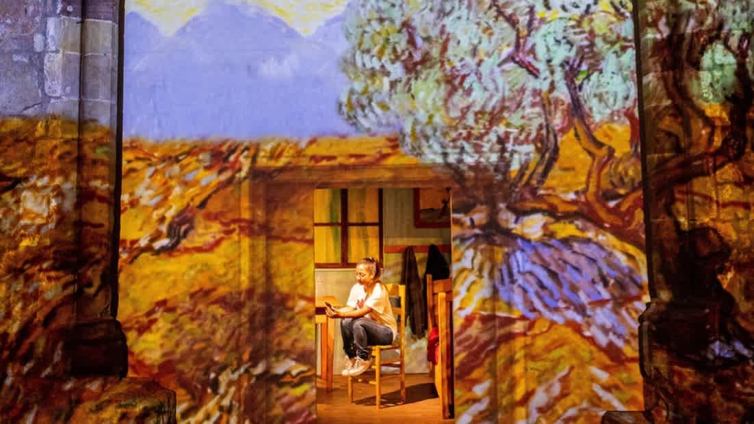 Van Gogh Immersive Experience Leicester - Photo
