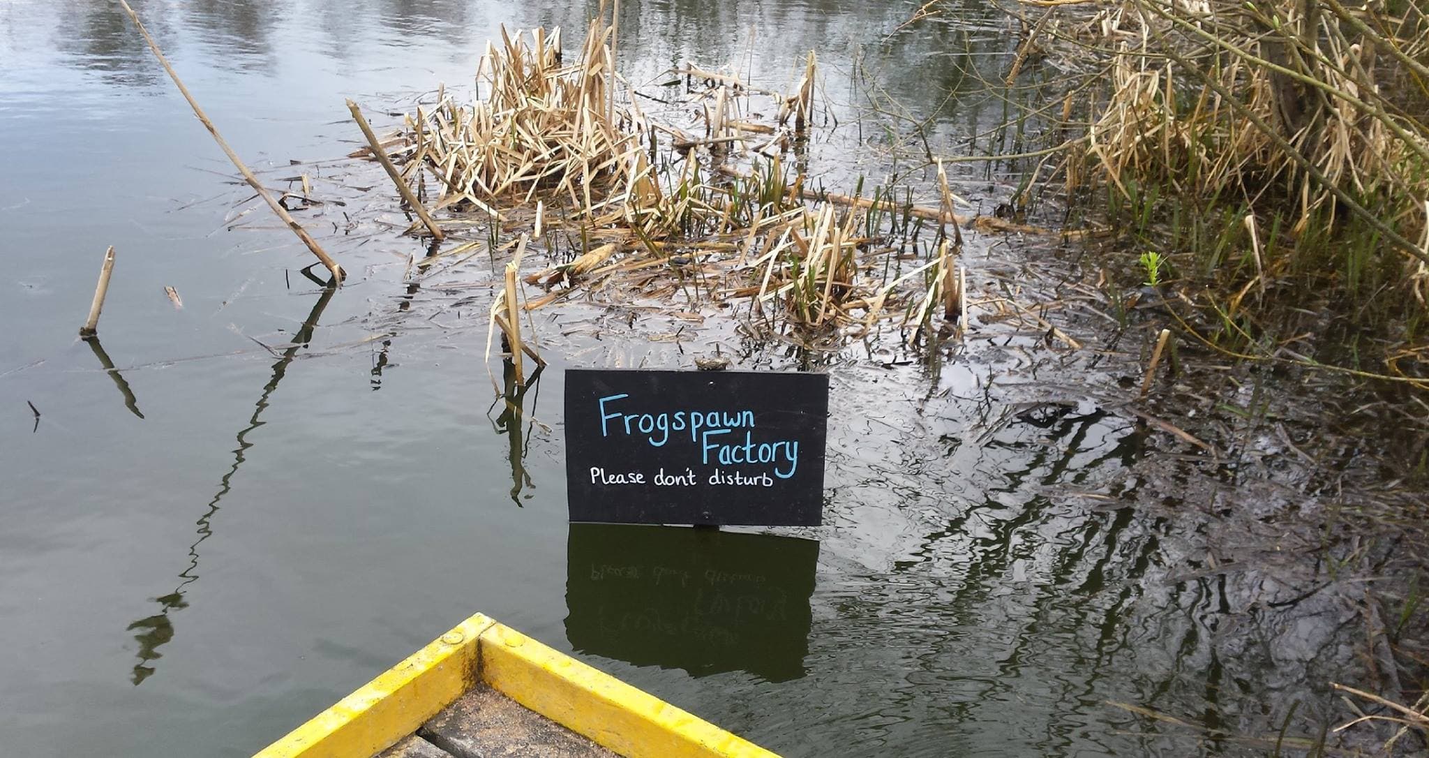 RSPB Fairburn Ings - Photo