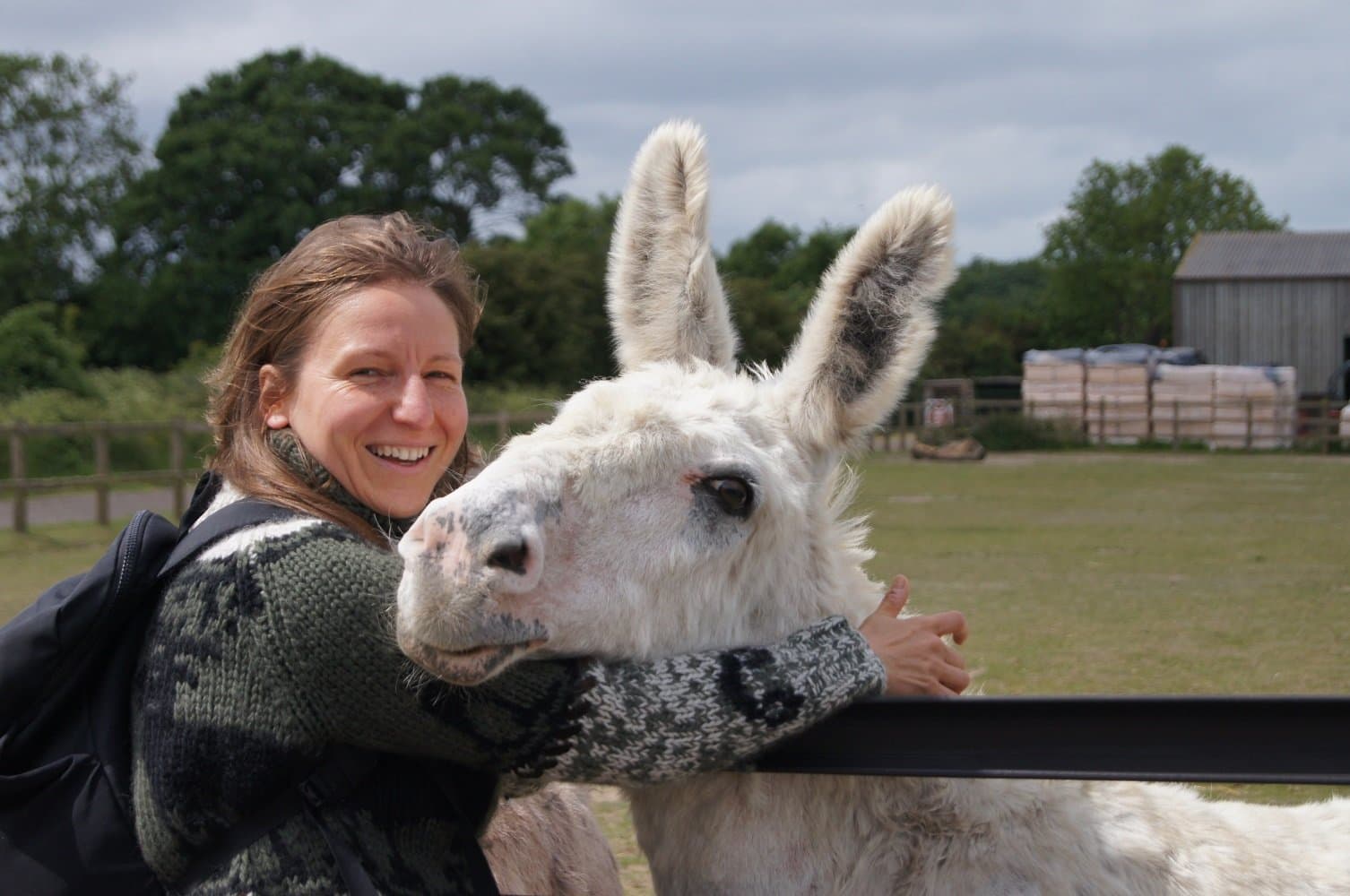 Redwings Horse Sanctuary Caldecott - Photo
