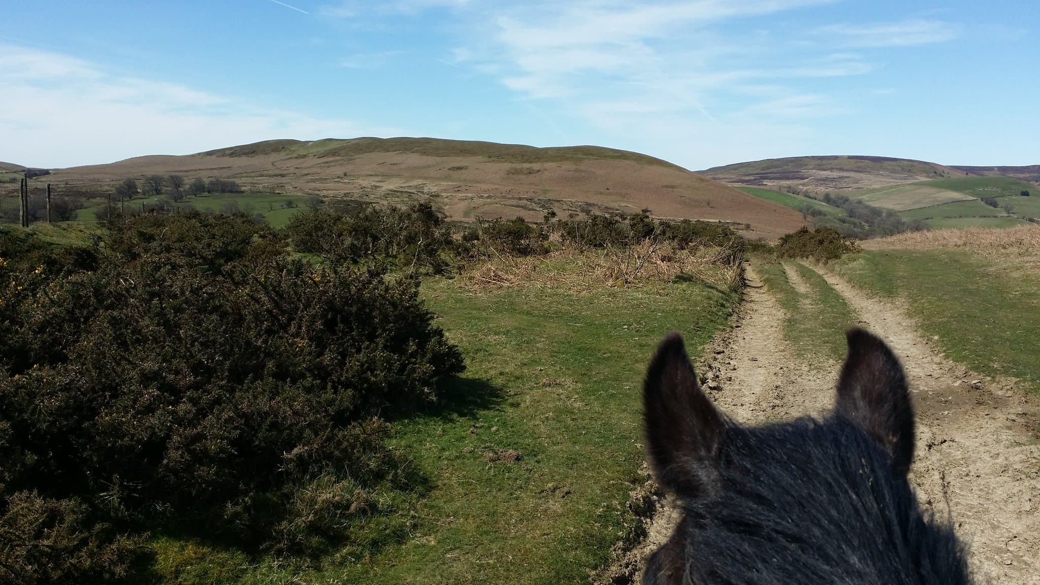 Bryngwyn Riding Centre - Photo 1