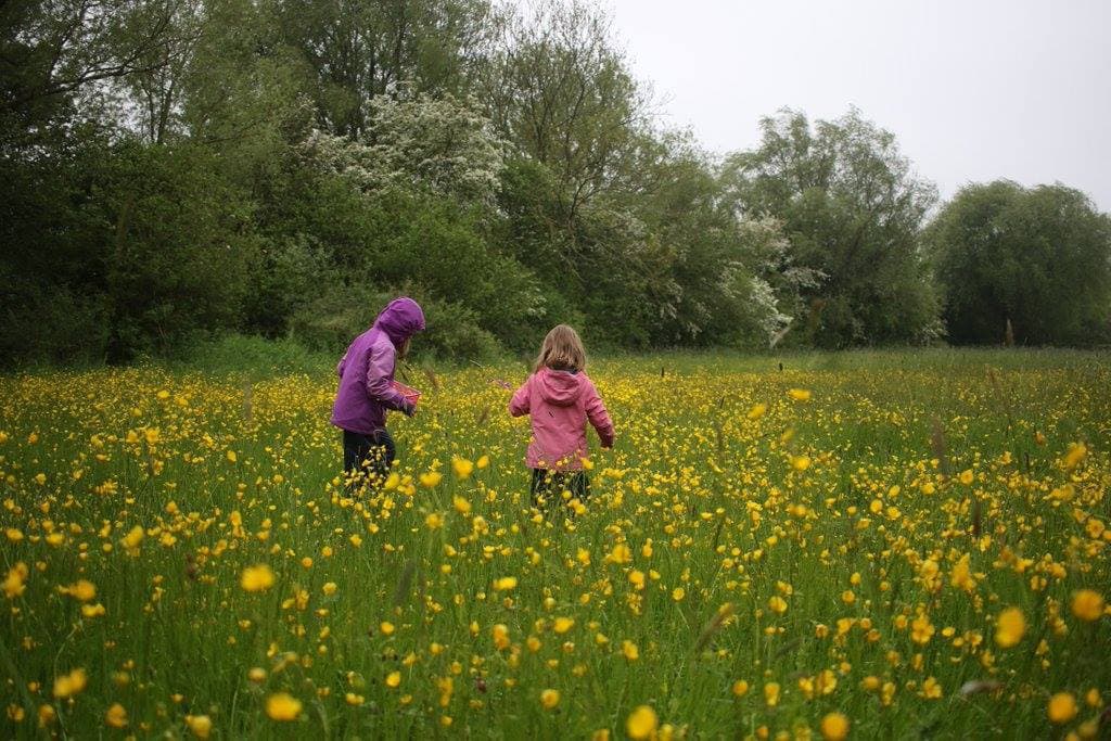 Rutland Water Nature Reserve - Photo