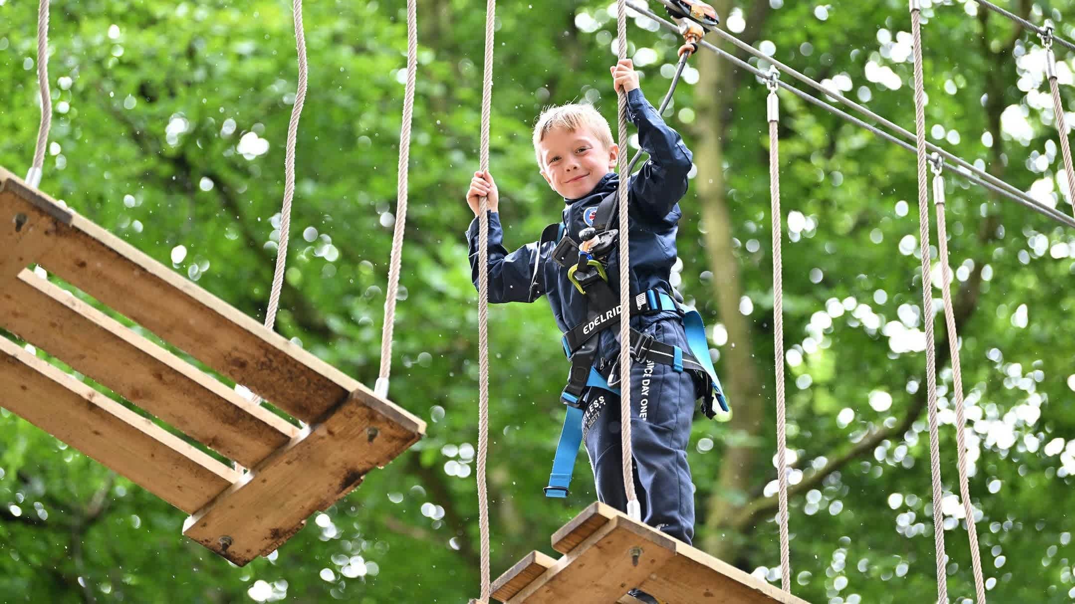 Go Ape Normanby Hall - Photo