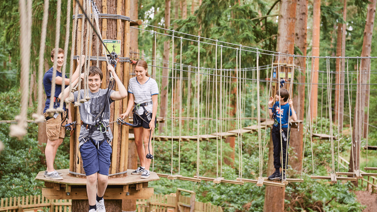 Go Ape Margam - Photo