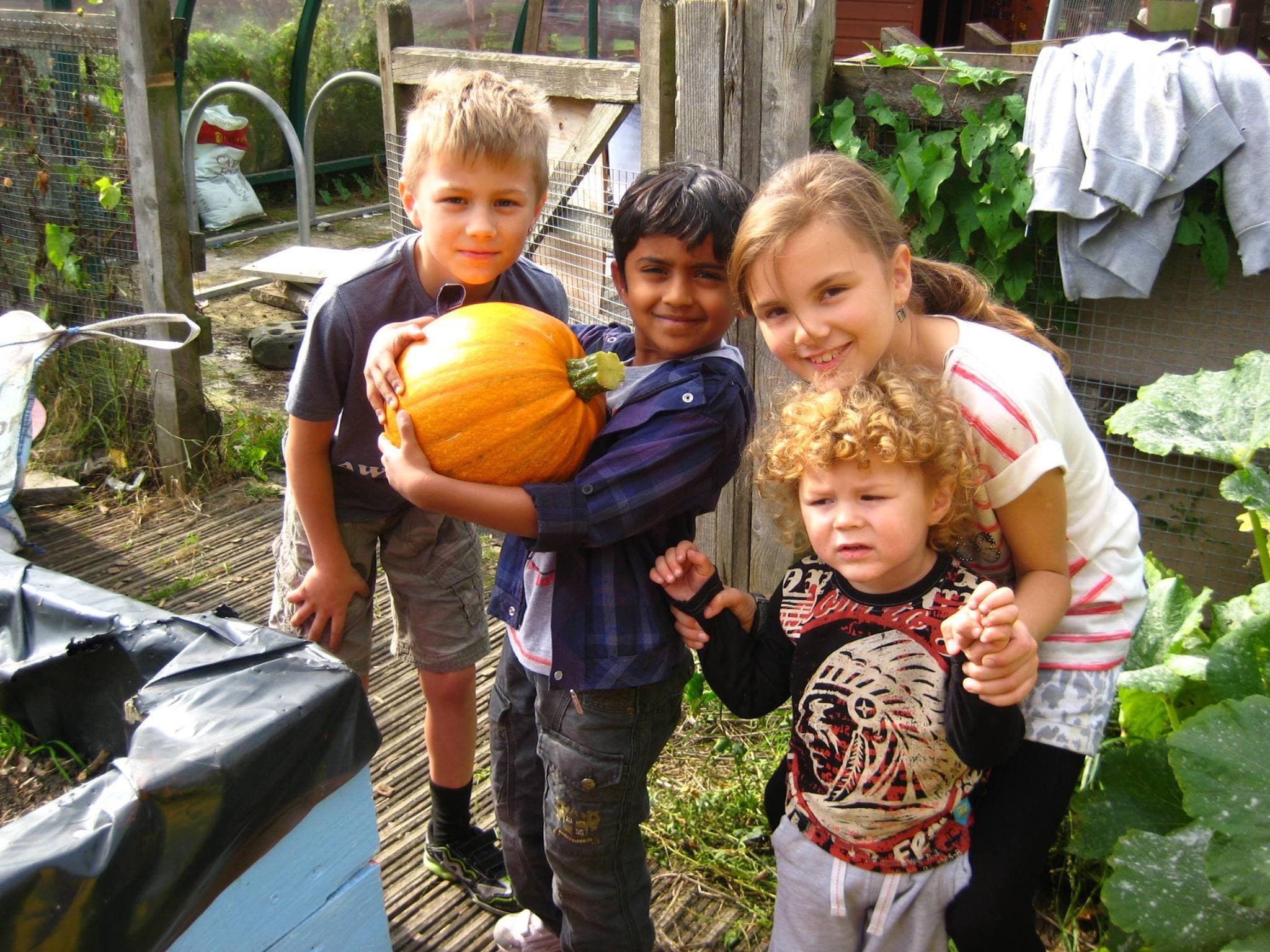 Newham City Farm - Photo 1
