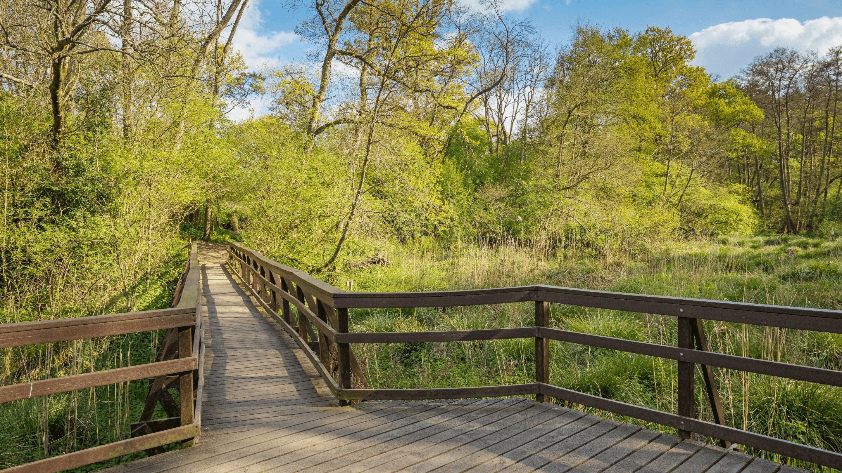Winkworth Arboretum - Photo