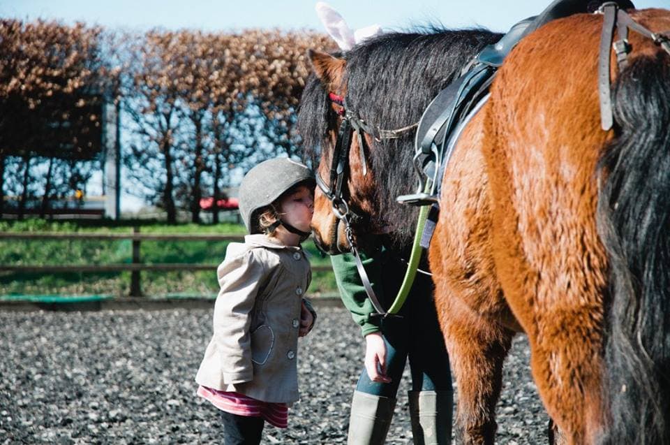 Lavant House Stables