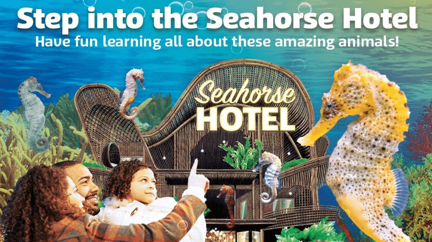 SEA LIFE Weymouth - Photo