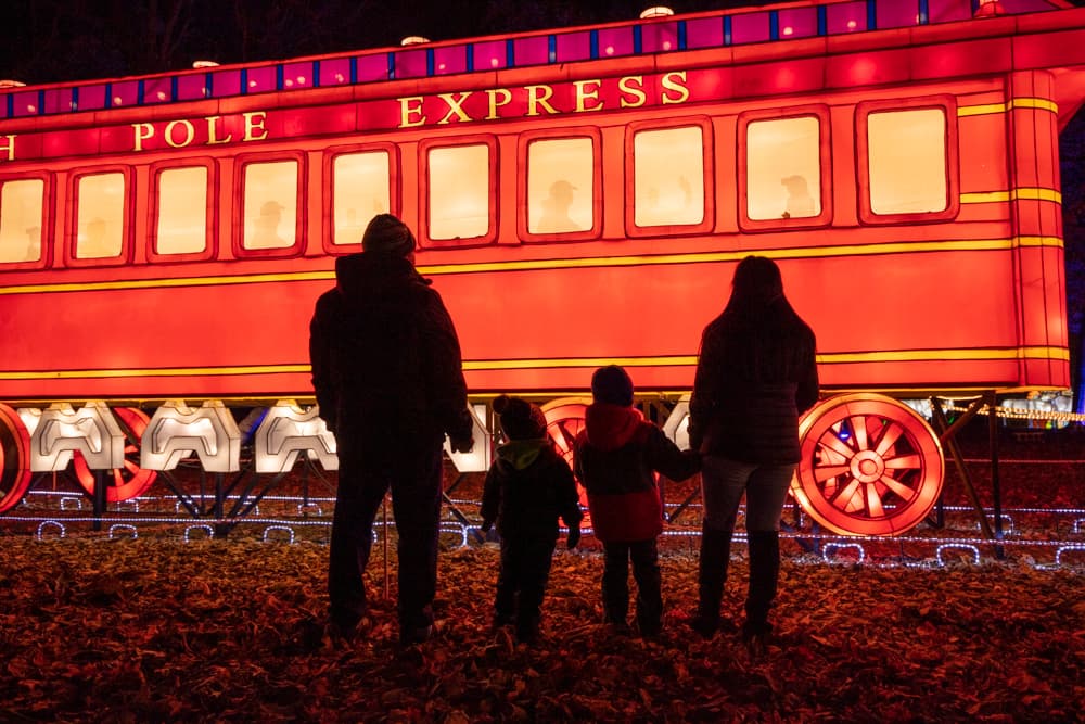 Land of Lights - Photo