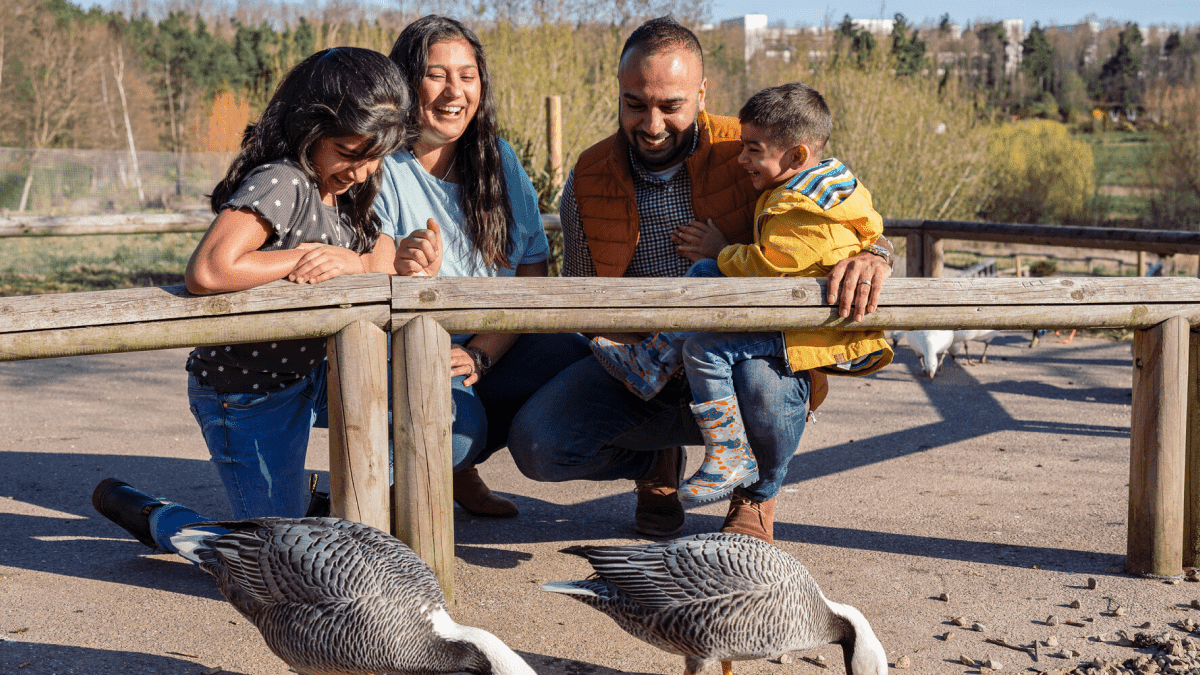 WWT Washington Wetland Centre - Photo