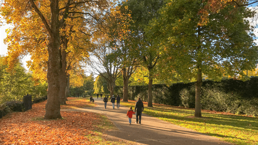 Bute Park Cardiff - Photo