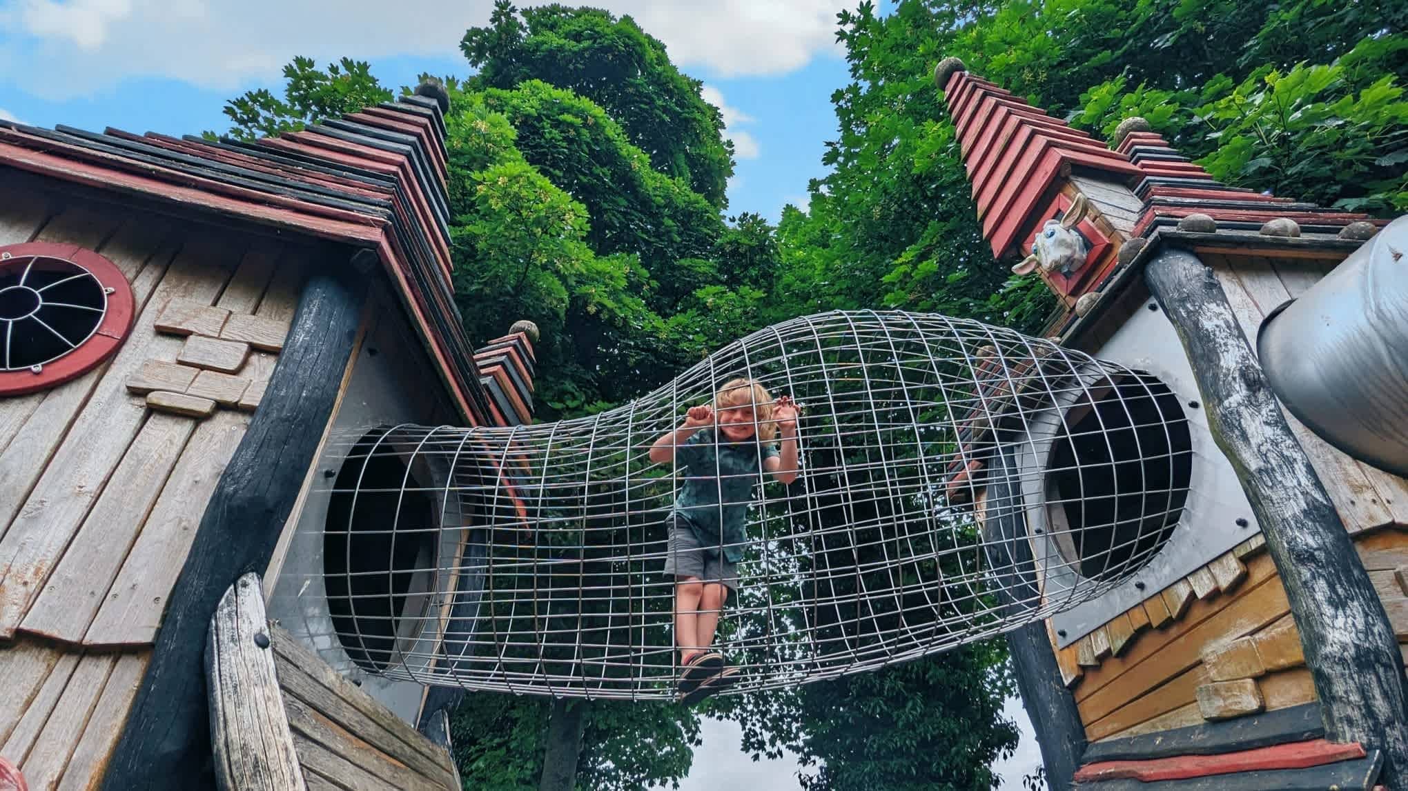 Tropical Butterfly House - Photo