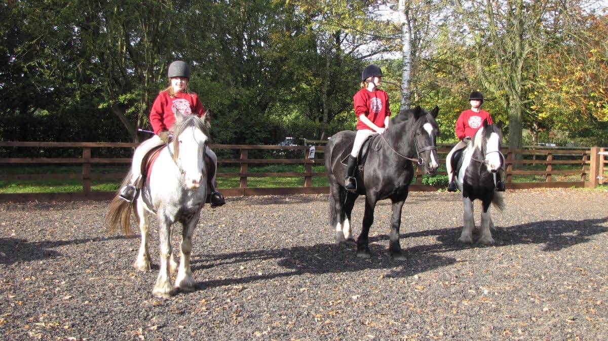 Wythenshawe Park Riding Stables - Photo