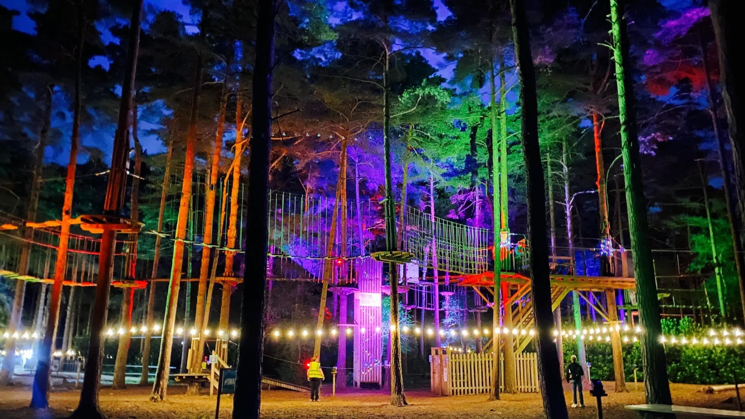 Go Ape Bedgebury - Photo