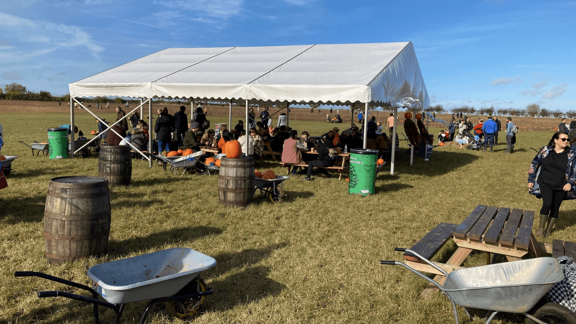 Saxby's Cider and Grange Farm Pick Your Own Pumpkins - Photo