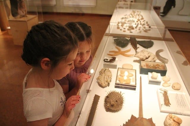 Derby Museum and Art Gallery - Photo