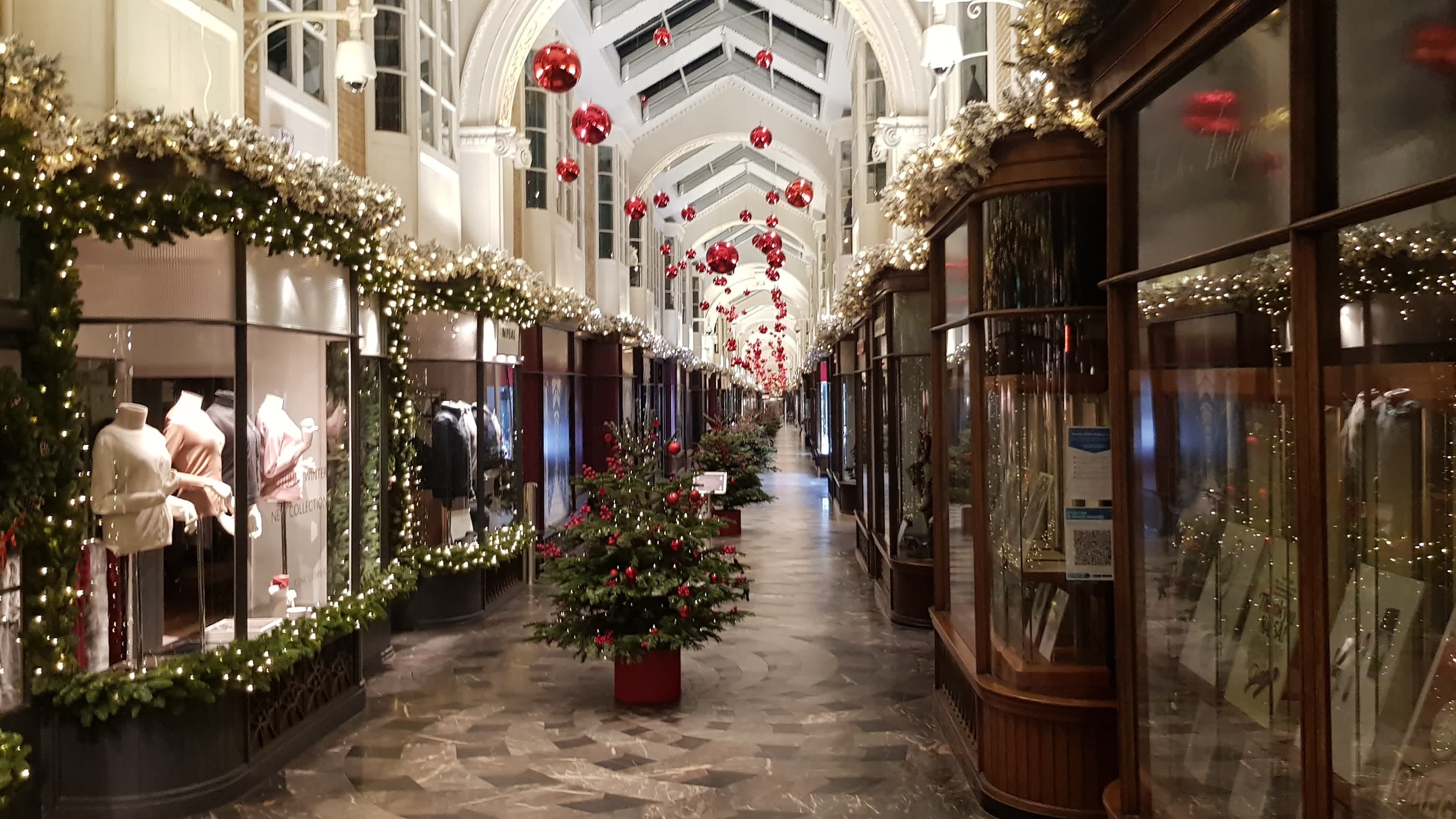 Christmas Lights Walking Tour - Photo