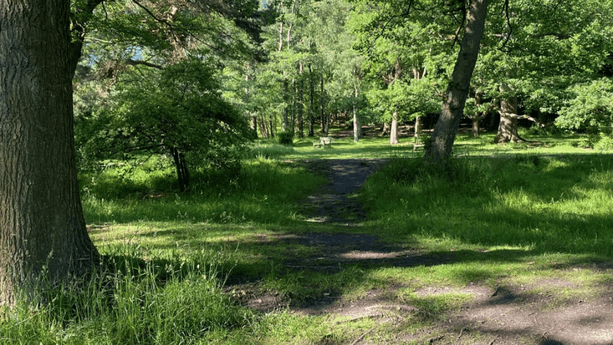 Golden Acre Park - Photo