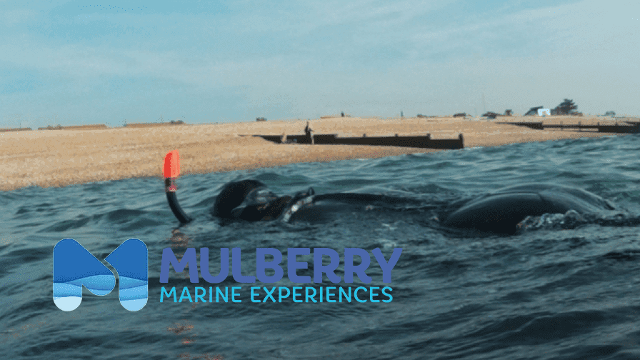 Mulberry Marine Experiences C.I.C - Photo