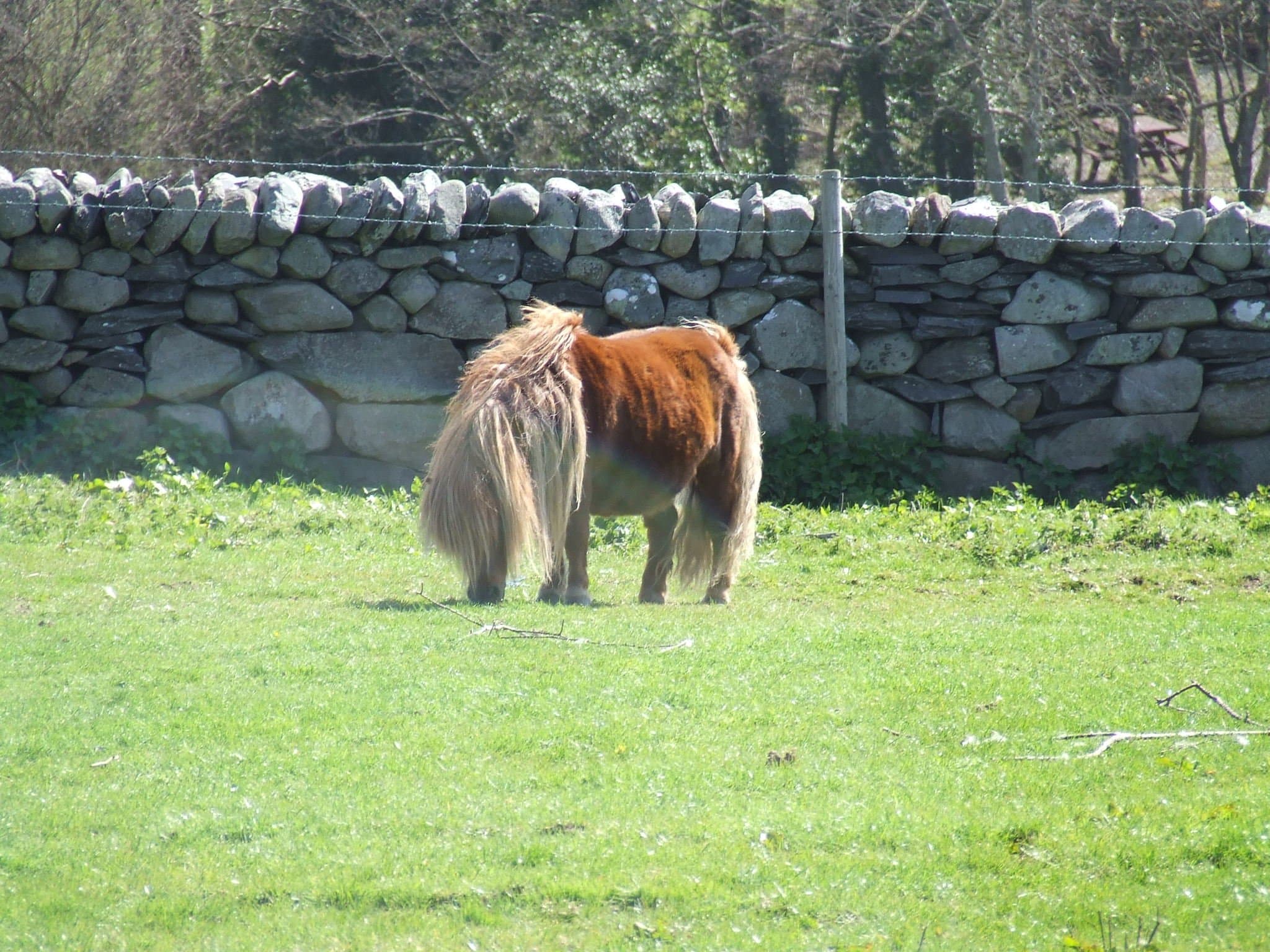 The Childrens Farm Park - Photo