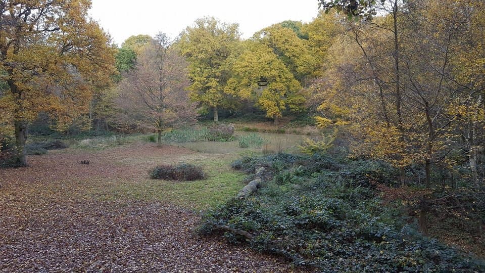 Parndon Wood Nature Reserve