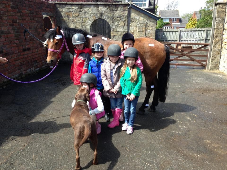 Murton Equestrian Centre - Photo 1