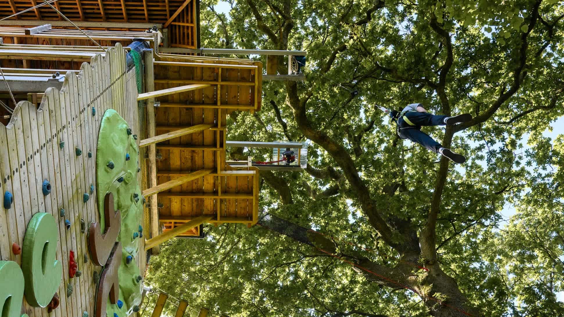 Zip World Windermere - Photo