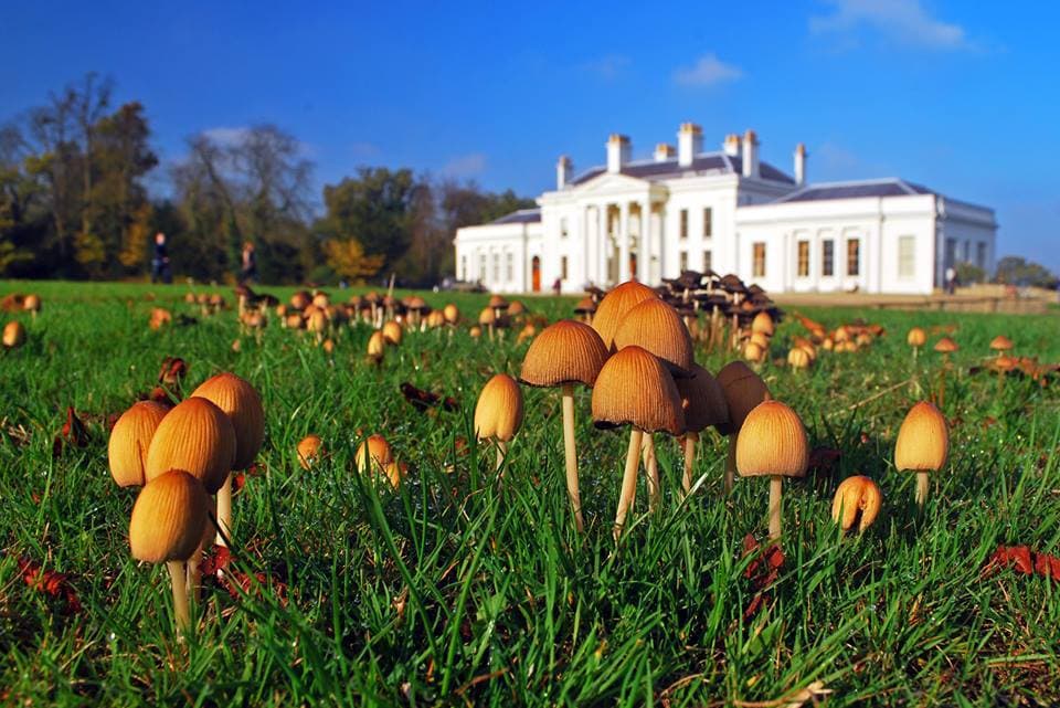 Hylands House and Park