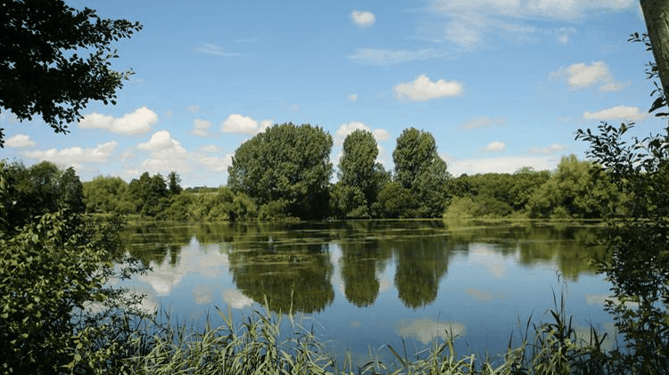 Langford Lakes Nature Reserve - Photo