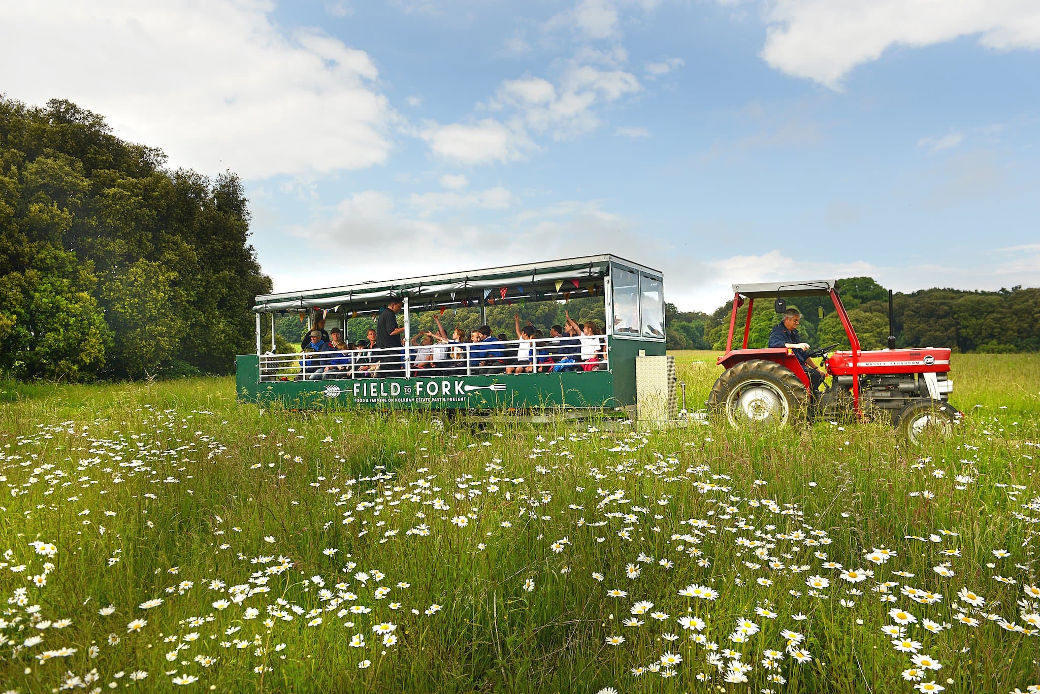 Holkham Hall & Woodland Play Area - Photo