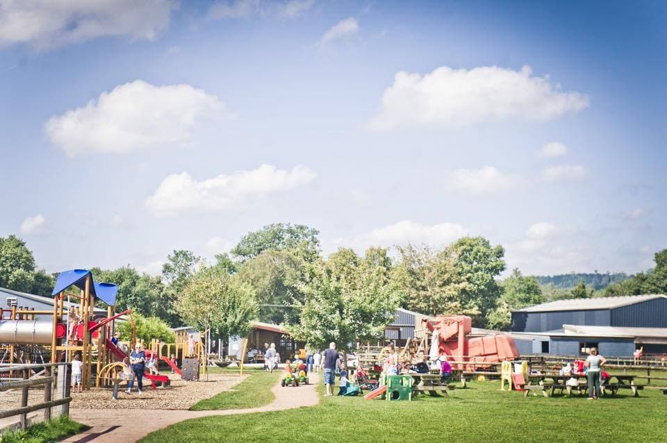 Cefn Mably Farm Park - Photo