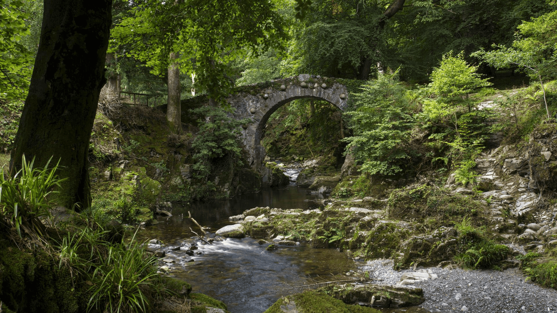 Tollymore Forest Park - Photo 1