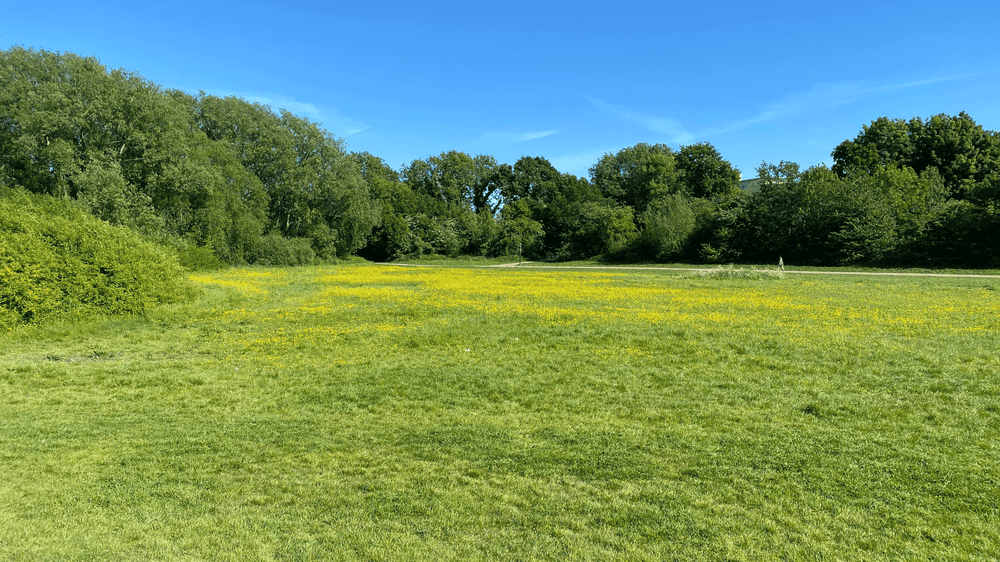 Sheldon Country Park - Photo 1