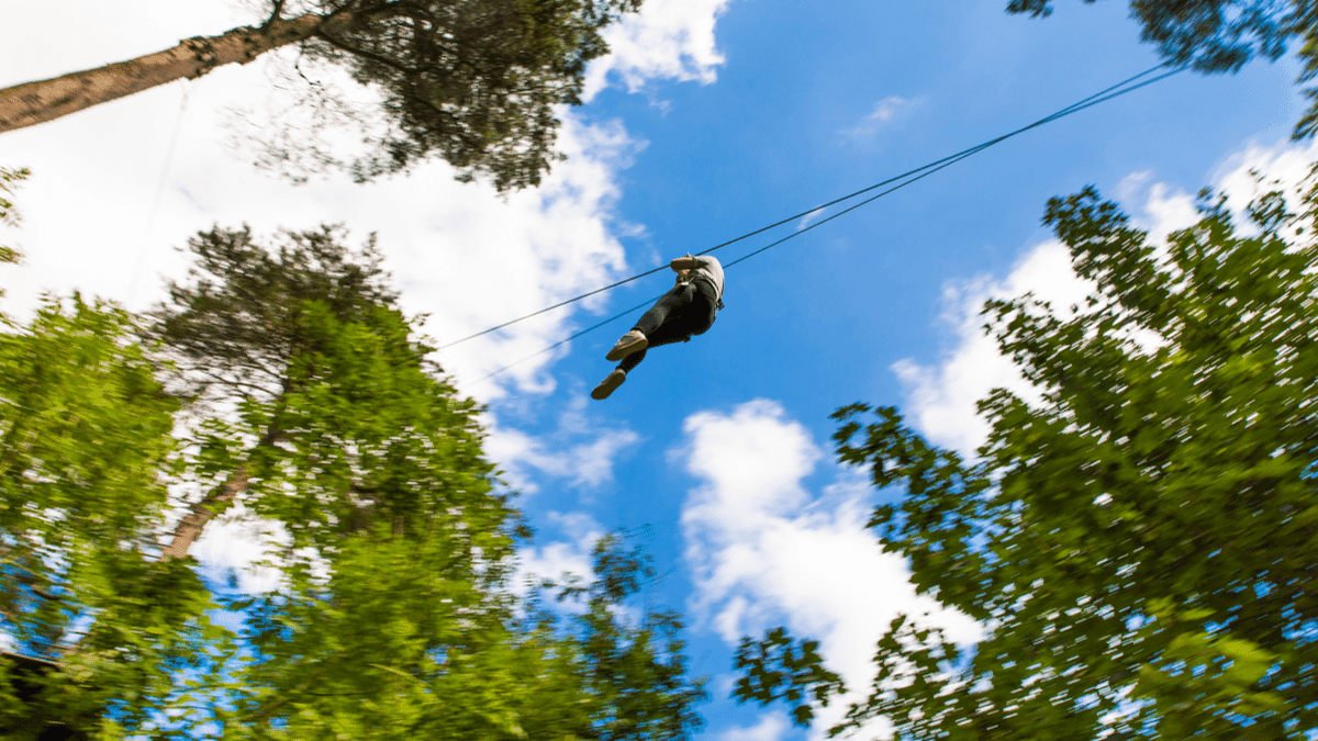 Go Ape Cockfosters - Photo