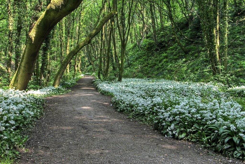 Fairy Glen Valley - Photo 1