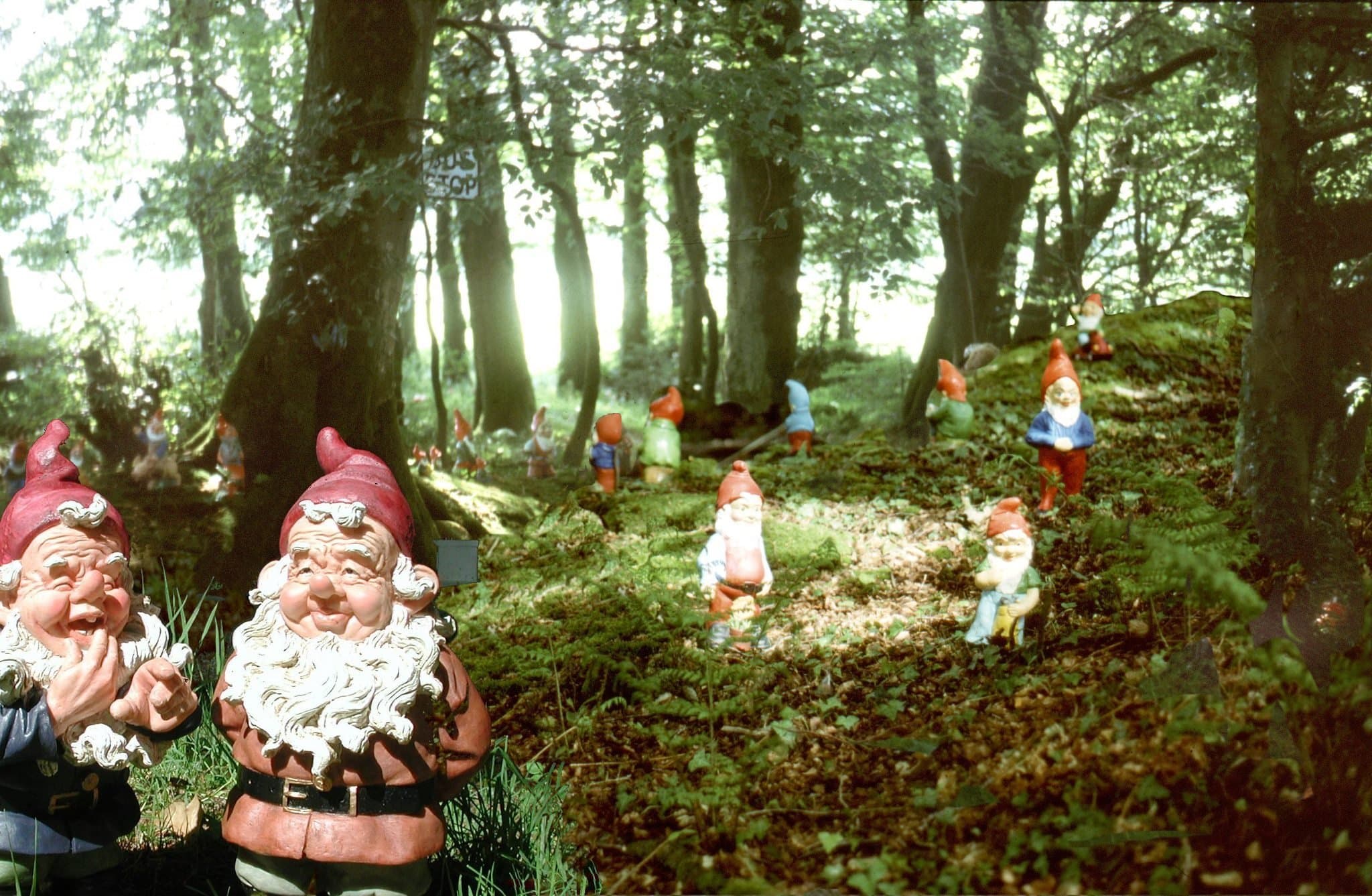 The Gnome Reserve