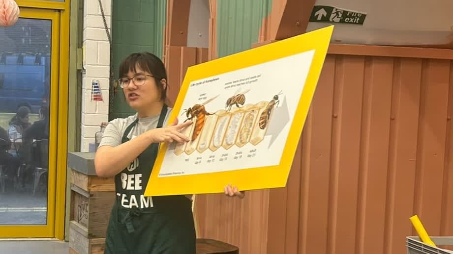 School Holiday Honey Harvest Workshop for Kids in London - Photo 1